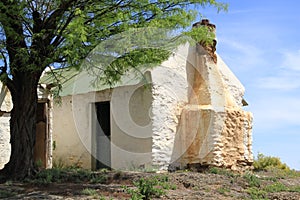 Green roof house on the hill.