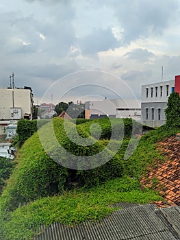 Green rooftile nature