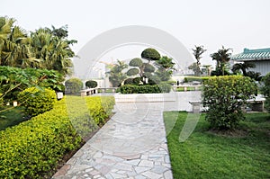 Green rooftop garden