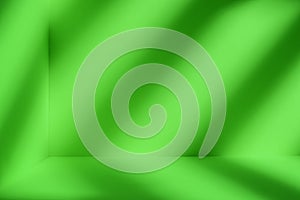 Green room with artistic shadow