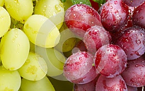 green and rose grapes