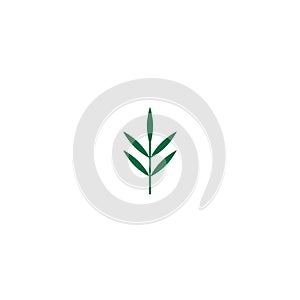 Green rosemary twig, shoot, sprig. Icon Isolated on white. Logo for eco company