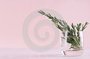 Green rosemary twigs in glass vase on soft pink pastel background.