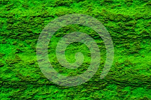 green rough texture for tapete photo