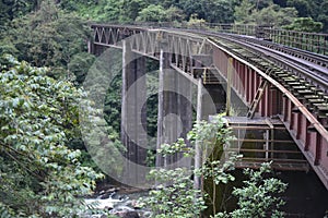 Green Route Railway Trek, Sakleshpur, Karnataka