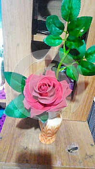 Green roze with beautiful look photo