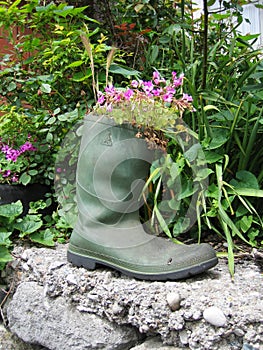 A green rubber boot as a flower pot.