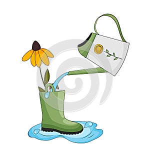 Green rubber boot with flower inside and watering can. Vector illustration.