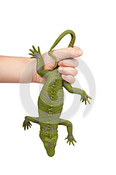 Green rubber lizard toy with kid hand, isolated on white background