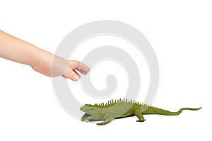 Green rubber lizard toy with kid hand, isolated on white background