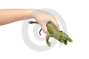 Green rubber lizard toy with kid hand, isolated on white background