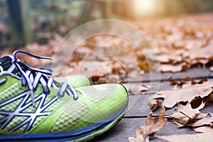 Green runner shoe in the fall leaves on the ground in the forest in autumn season