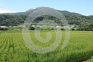 Green rural landscape with rice fields and Usu volcano on a sunny day with blue sky in Hokkaido island, northern Japan