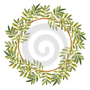 Green Ruscus. Greenery collection. Hand-drawn watercolor rond wreath. Design template. Artistic illustration