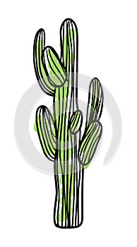 Green saguaro cactus hand drawn icon