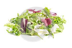 Zelený salát 
