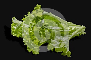 The green salad