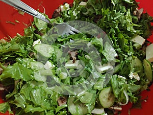 Green salad. Appetizer, vegetables.