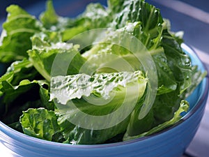 Green salad cos romaine lettuce sliced