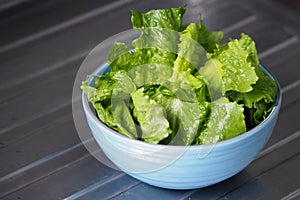 Green salad cos romaine lettuce sliced