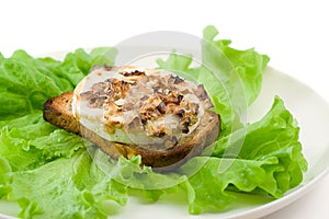 Green salad with goat cheese and toast