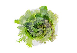 Green salad leafs. Lettuce isolated on white background.