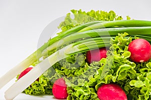 Green salad leaves, red radish and green onion on a white background