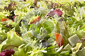 Green salad with olives, tomato and cheese cubes photo