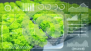 Green salad overlay modern chart graphics HUD for digital computer IOT technology in agriculture farm plant grow analysis concept