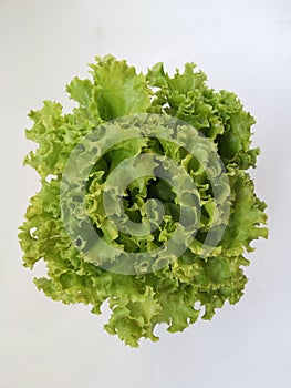 Green salad protrait.