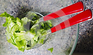 Green salad and red salad cutlery