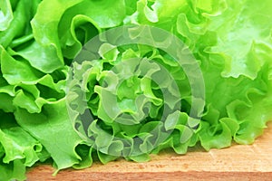 Green salad on wooden plate.