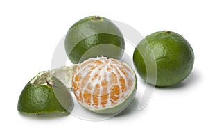 Green satsuma fruit