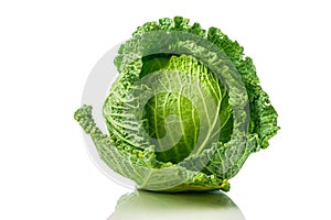 Green Savoy cabbage