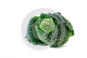 Green savoy cabbage, a healthy winter vegetable, whole head isolated on a white background