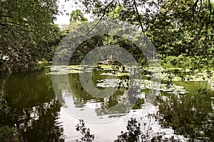 Green Sceneries of The Botanical Garden of Medellin in Antioquia, Col.