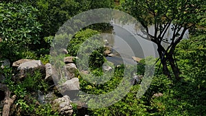 Green scenery with rock waterfall