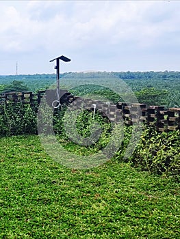 Green scenery at rooftop built with bricks