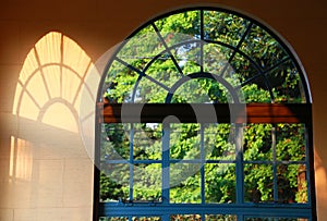 Green scenery from a window