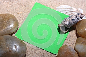 Green scratch paper on sand