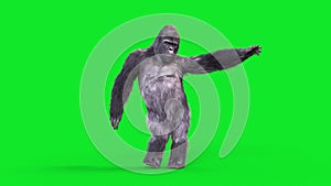Green Screen Gorilla Dances Arms Hip Hop Realistic Fur 3D Animations Rendering CGI 4K