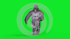 Green Screen Gorilla Dances Hip Hop Realistic Fur 3D Animations Rendering CGI 4K