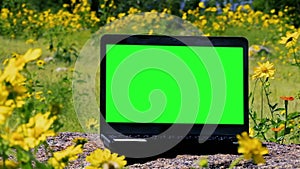 Green Screen Laptop Computer Outside. Zoom In.