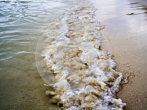 Green sea By the beach walkway The sea rushed to shore.