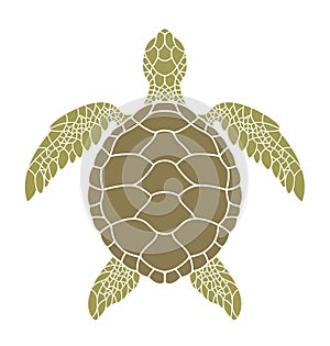 Green sea turtle