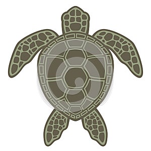 Green Sea Turtle photo