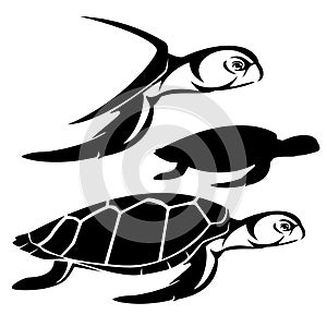Green sea turtle black and white vector outline