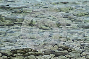 Green sea water with rocks