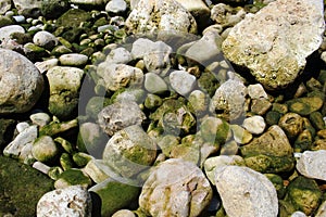 Green sea water stones and rocks resting on seashore