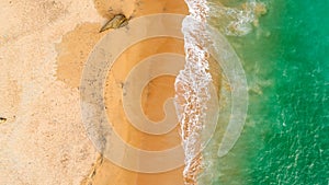 Green sea waves Arial View